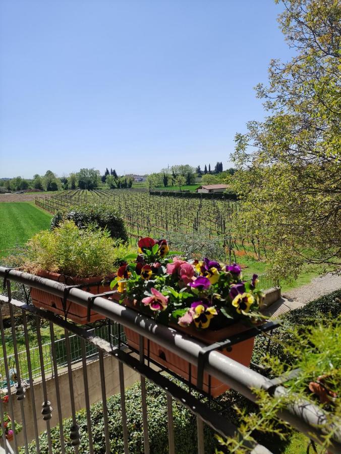 Agriturismo La Vigna Colà Exterior foto